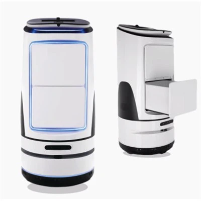 Pohostinské roboty